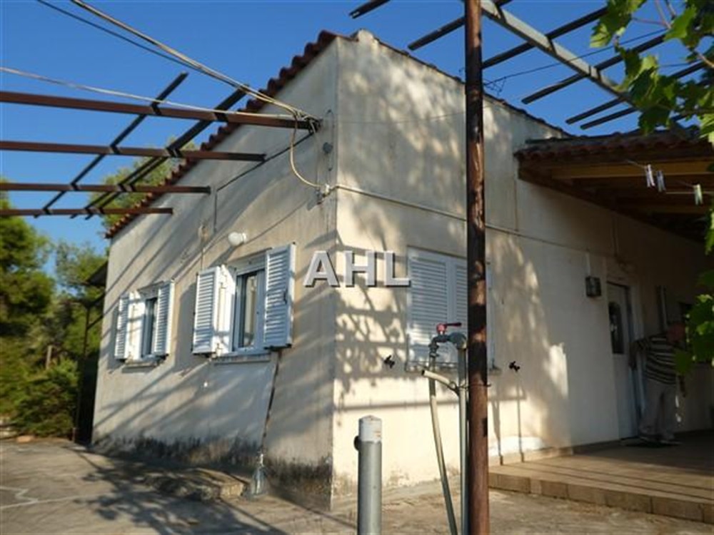 Maison individuelle sur un grand terrain - Property Aegina